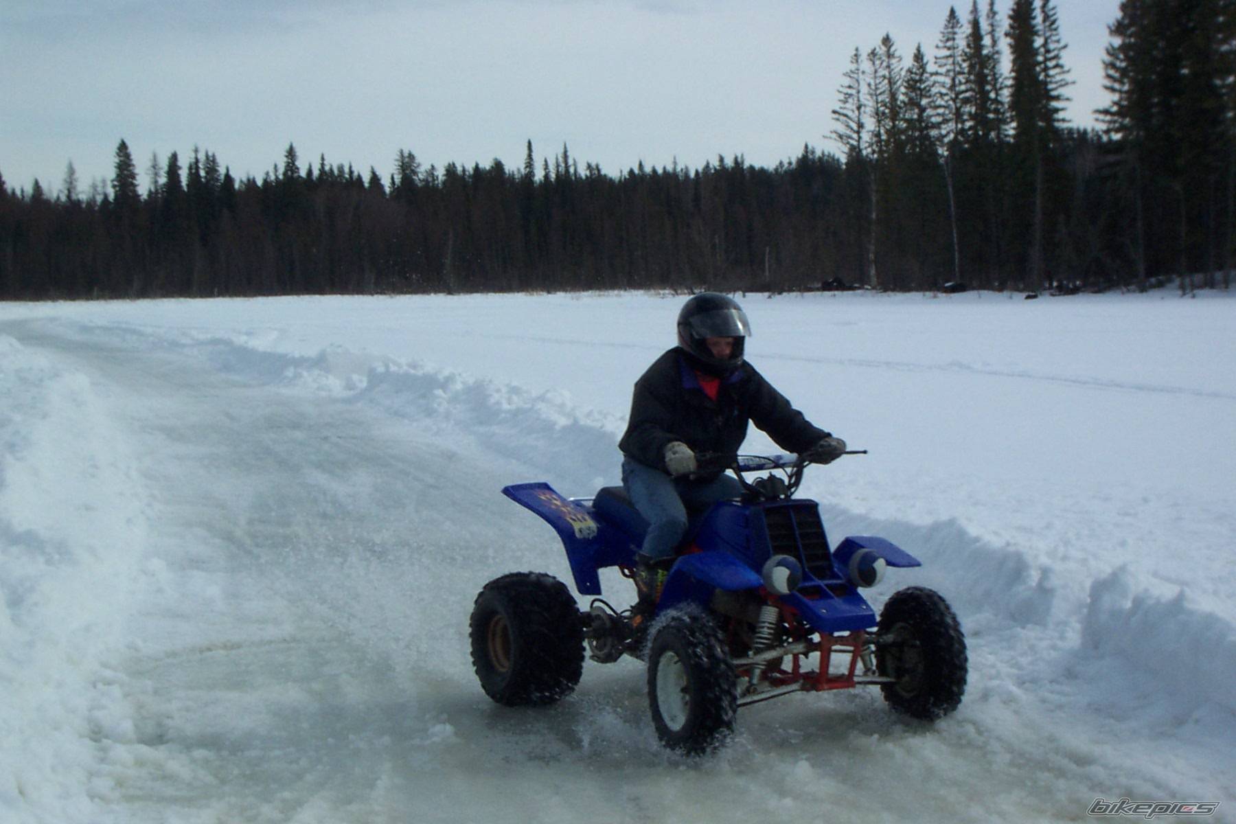 Photo 269401