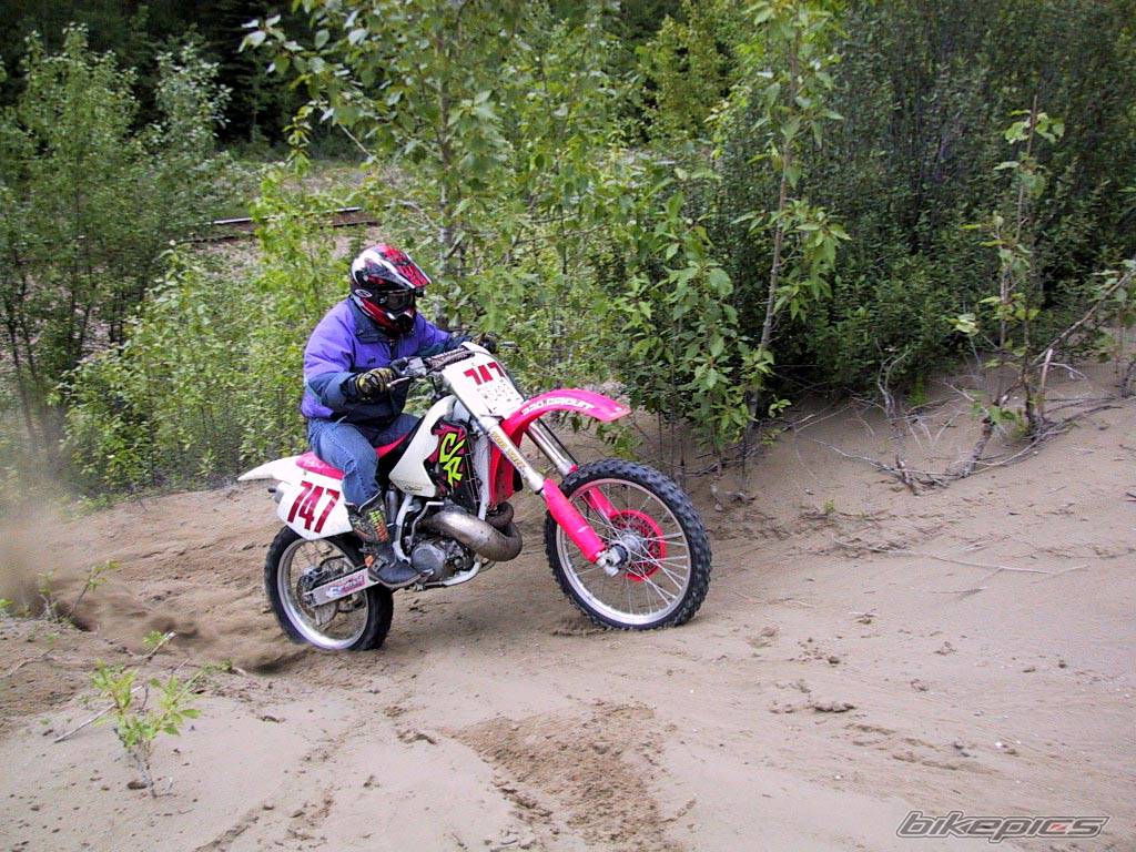 Photo 269402