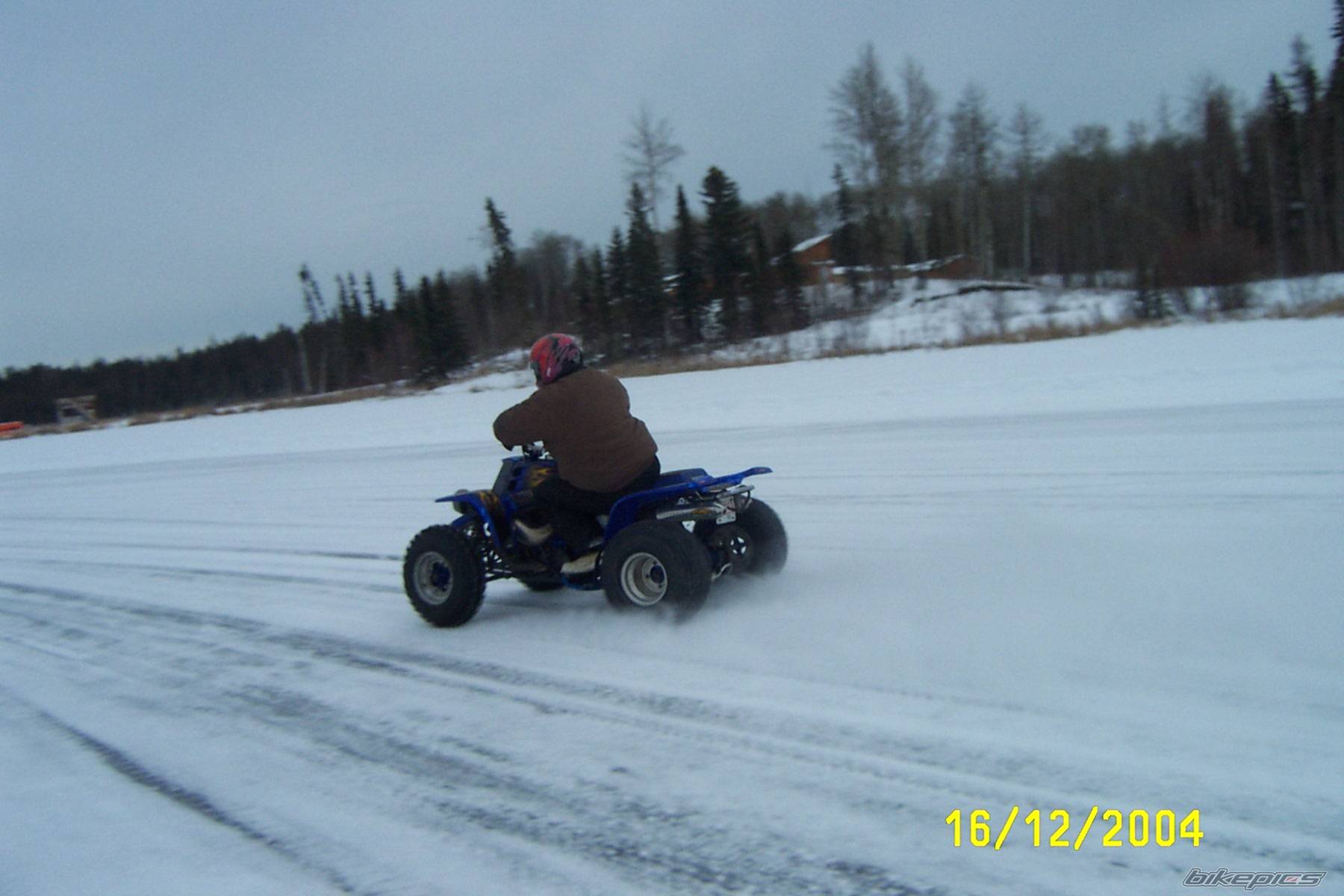 Photo 269404