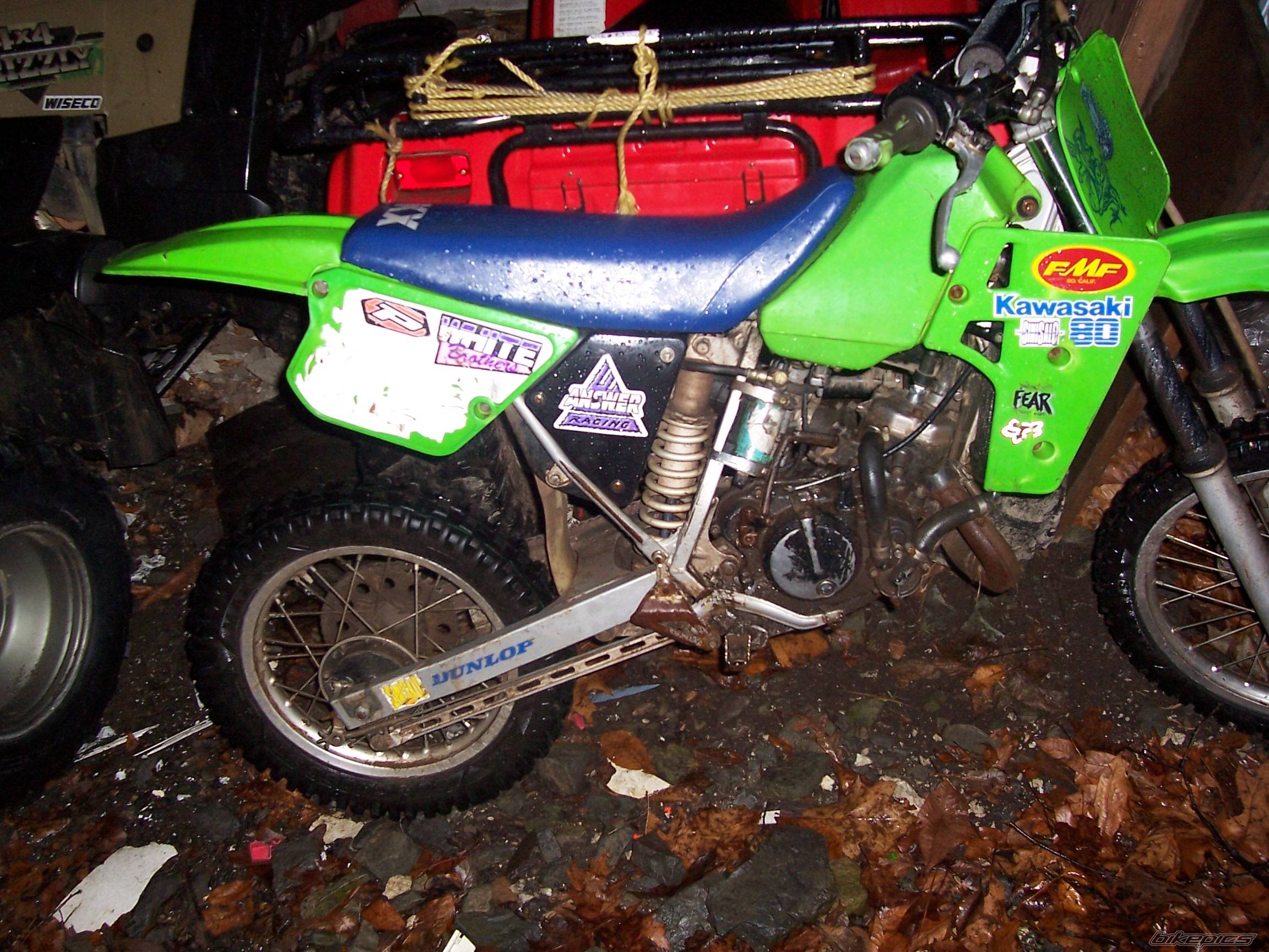 Photo 269422