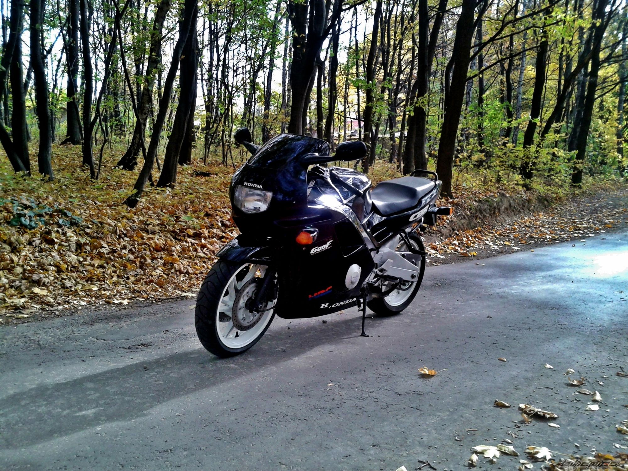 Photo 2694282