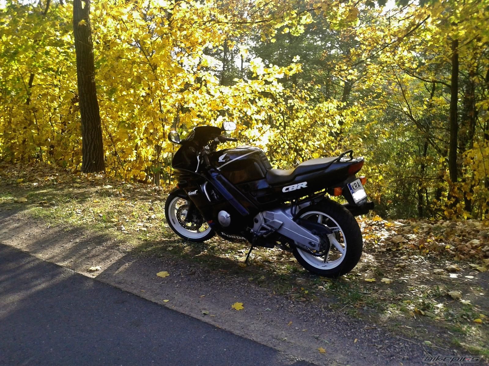 Photo 2694397