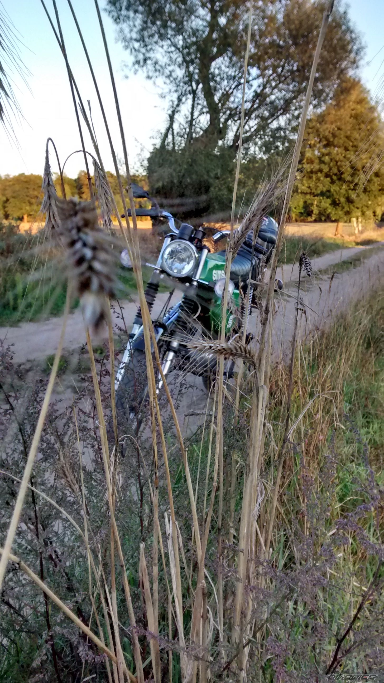 Photo 2694405