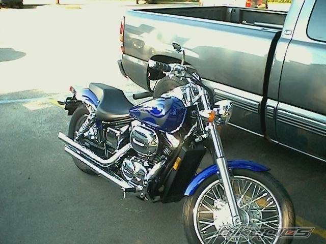 Photo 269443
