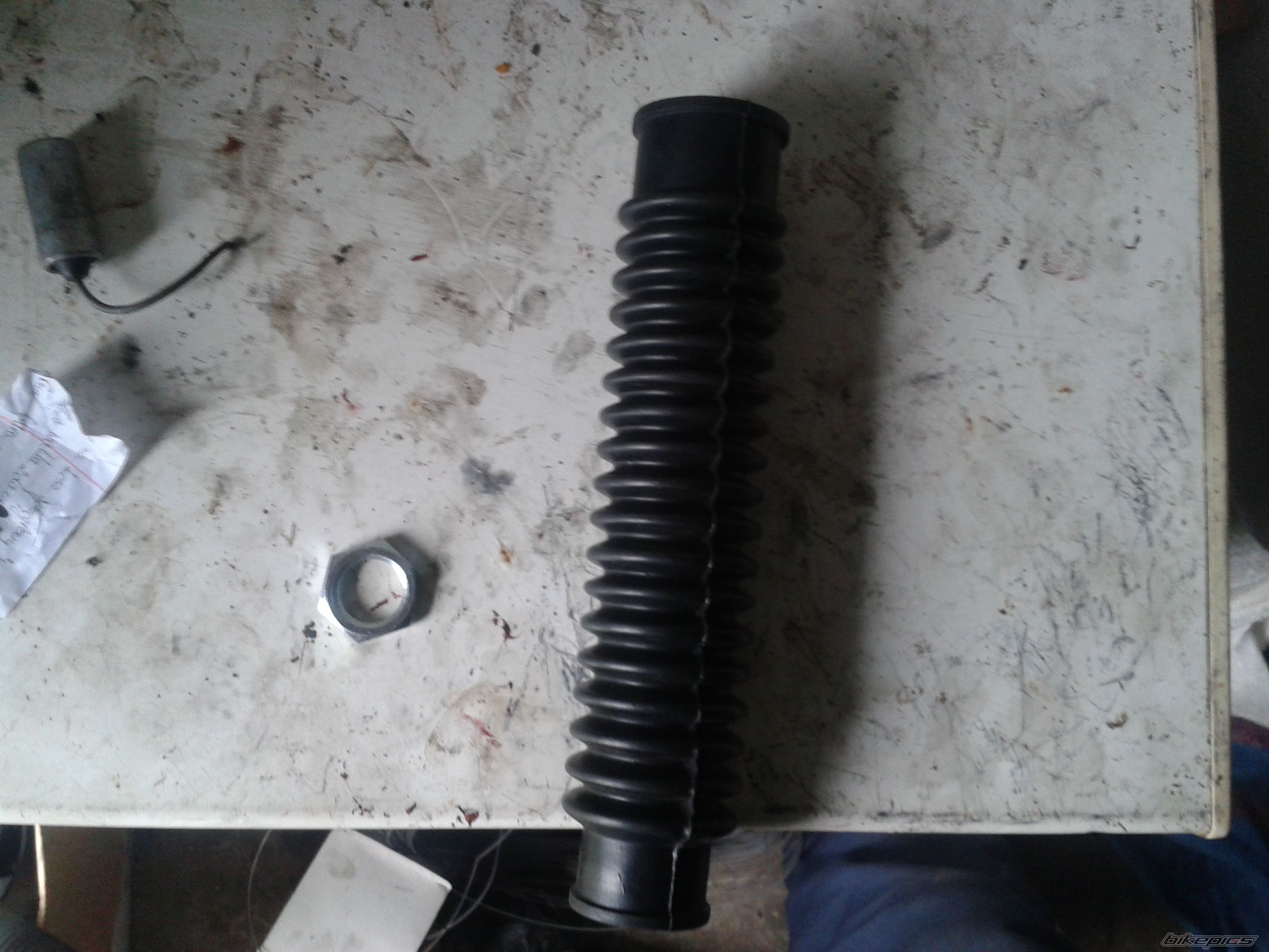 Photo 2694545