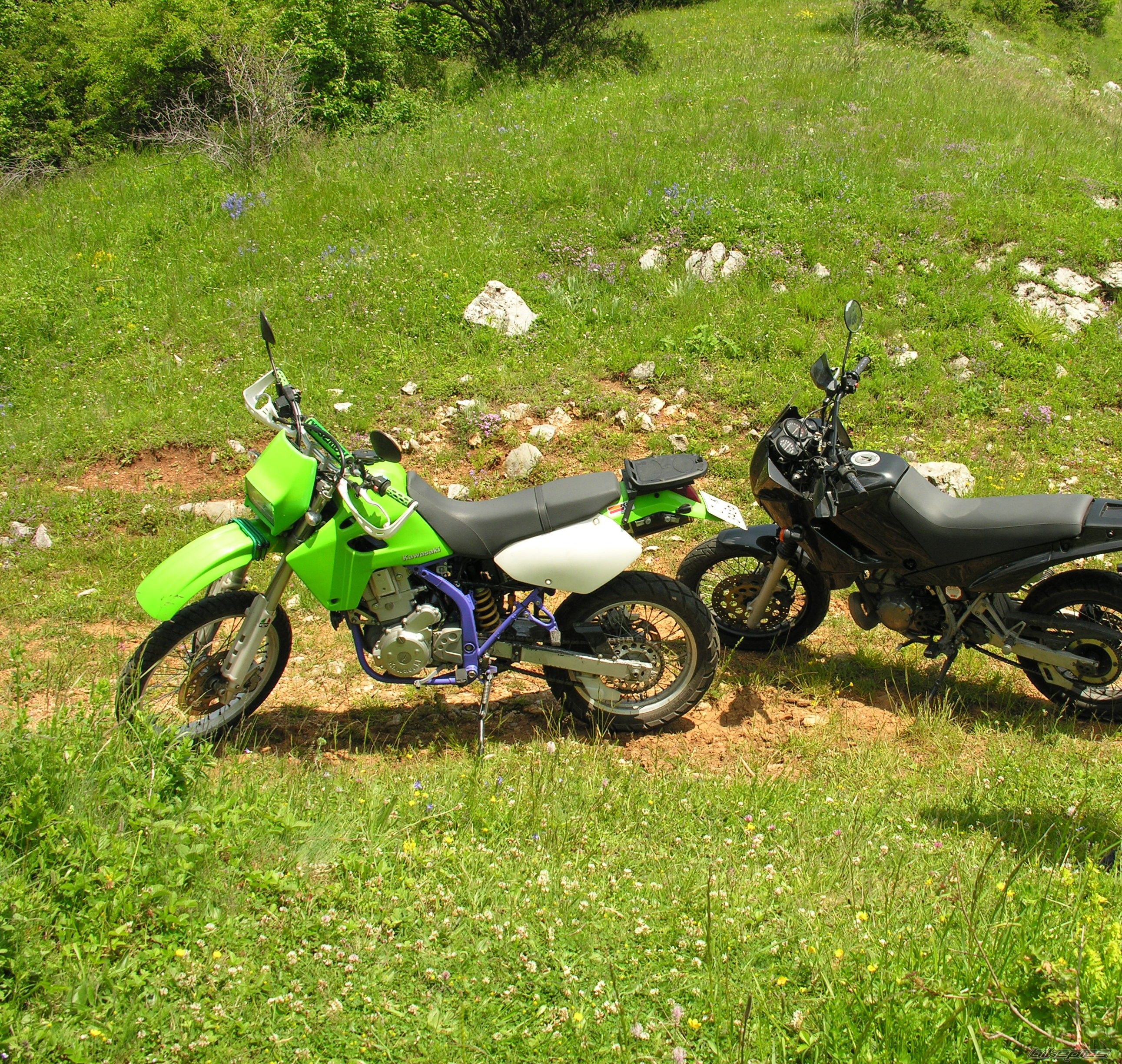 Photo 2694581