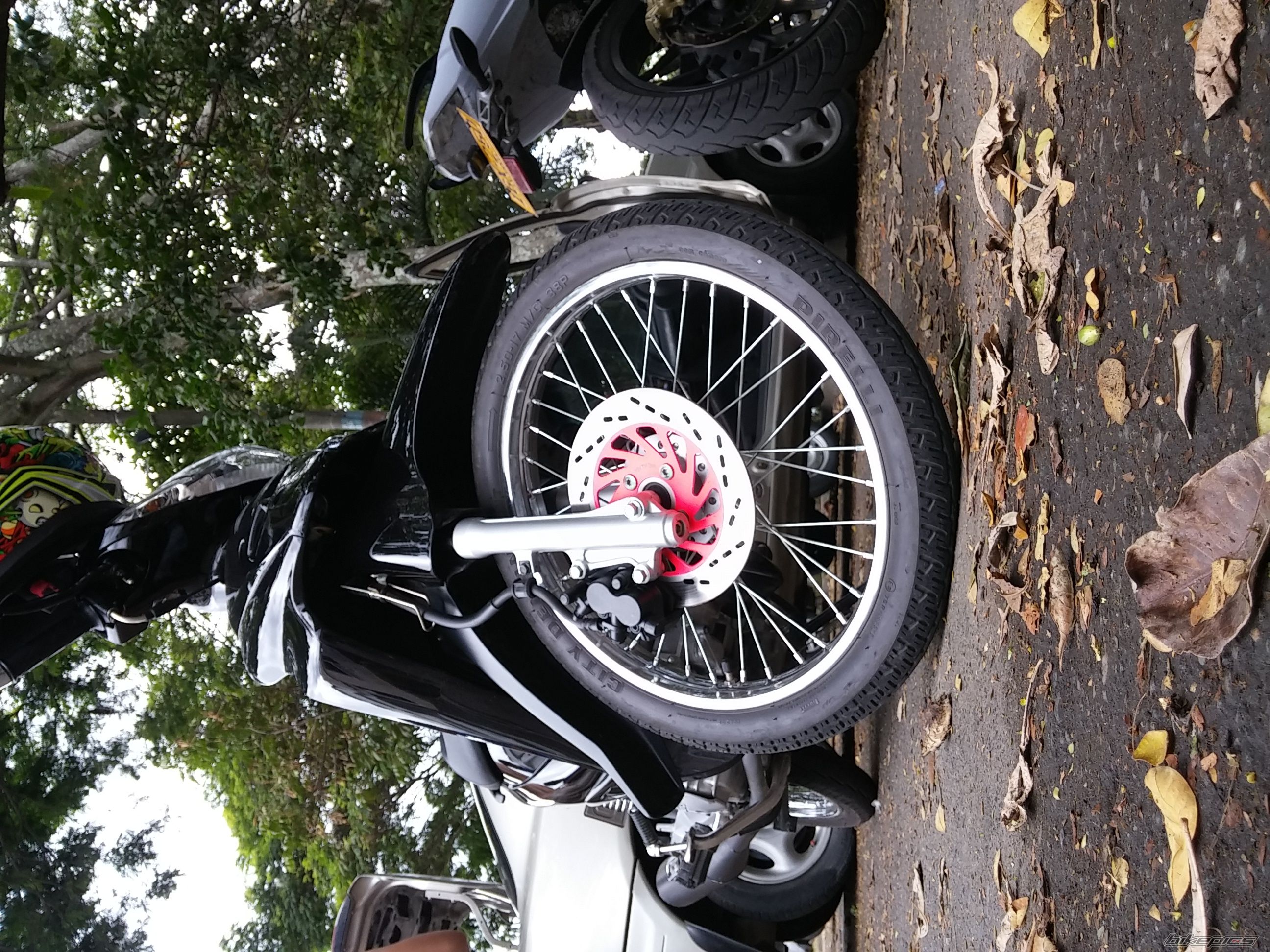 Photo 2694594
