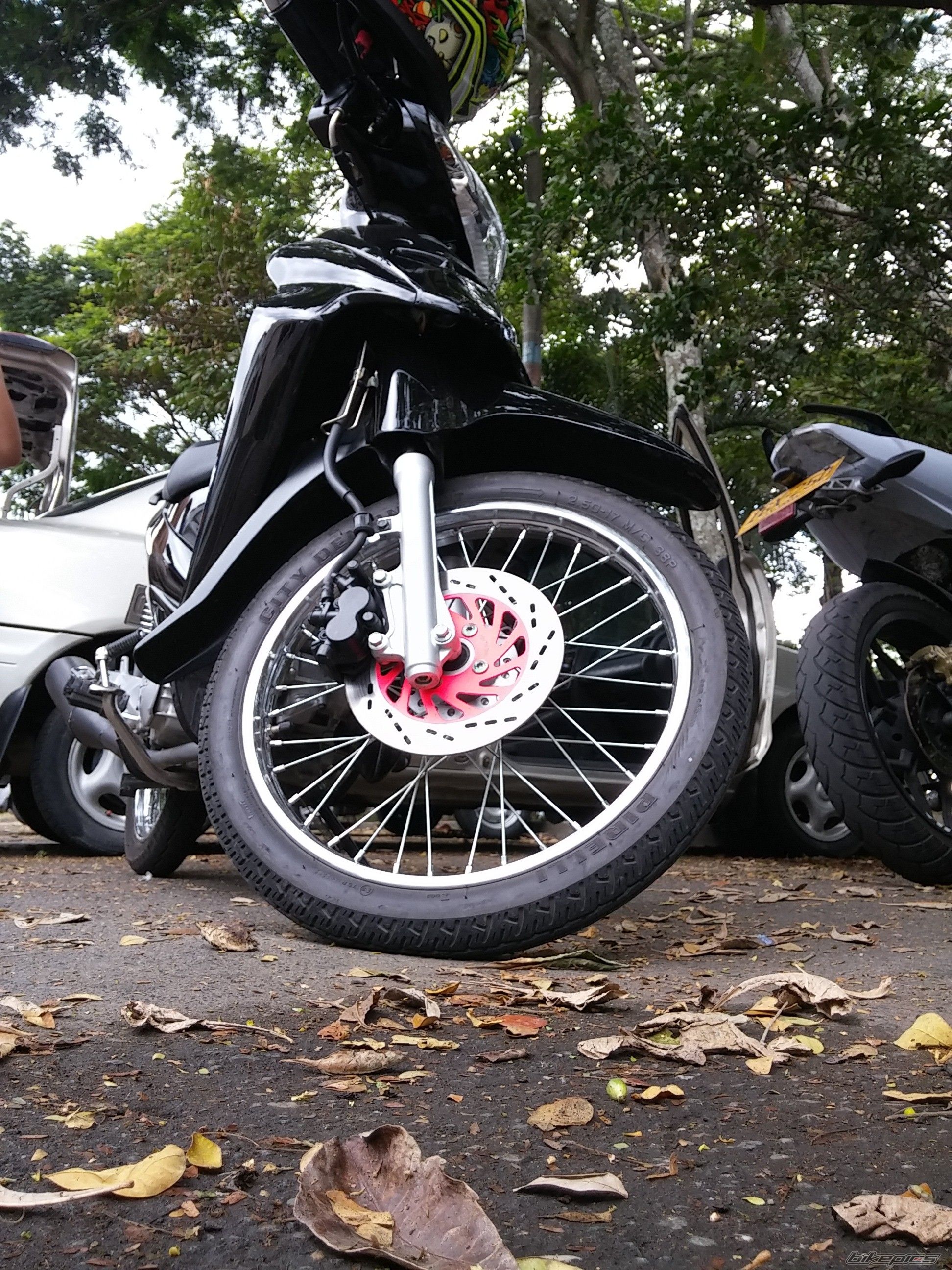 Photo 2694596