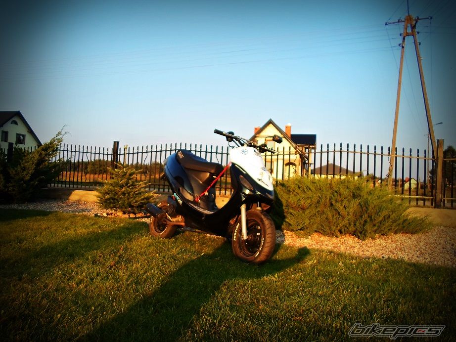 Photo 2694794
