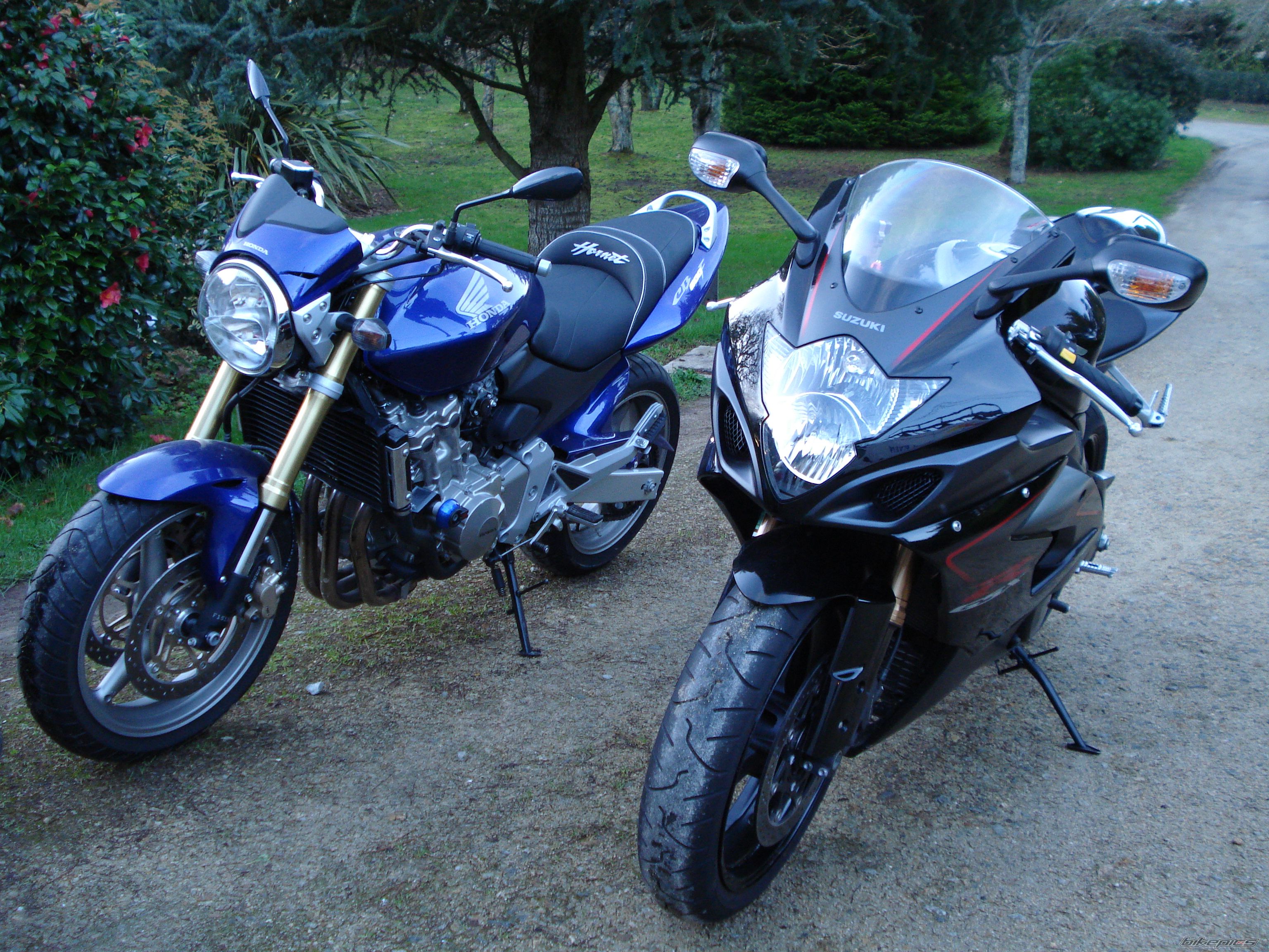 Photo 2694984