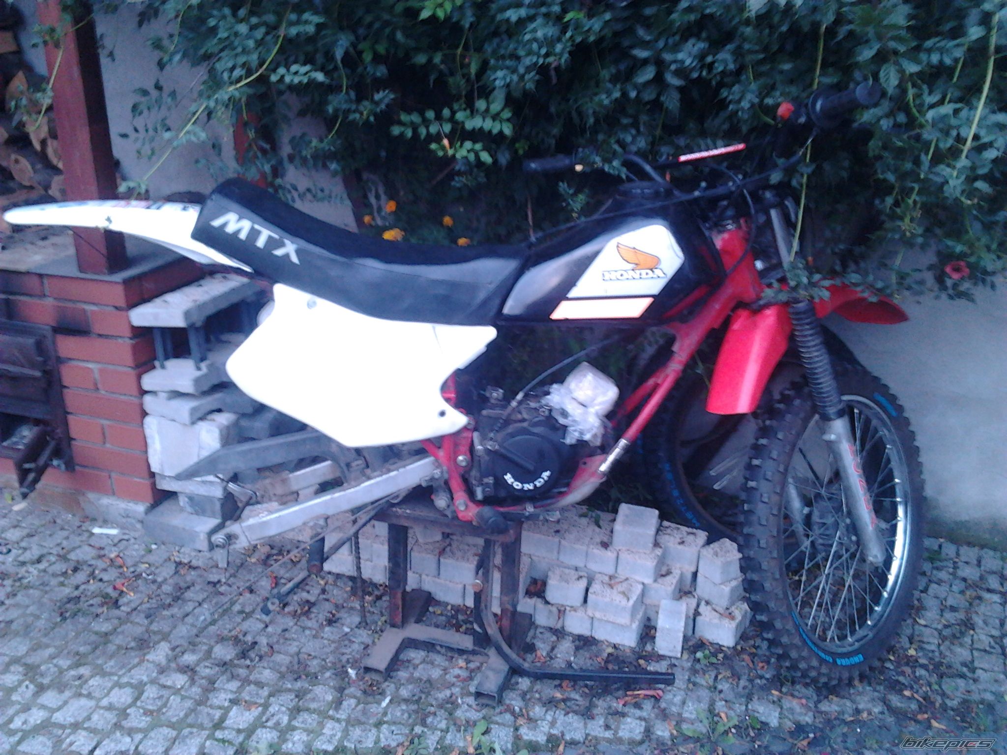 Photo 2695018