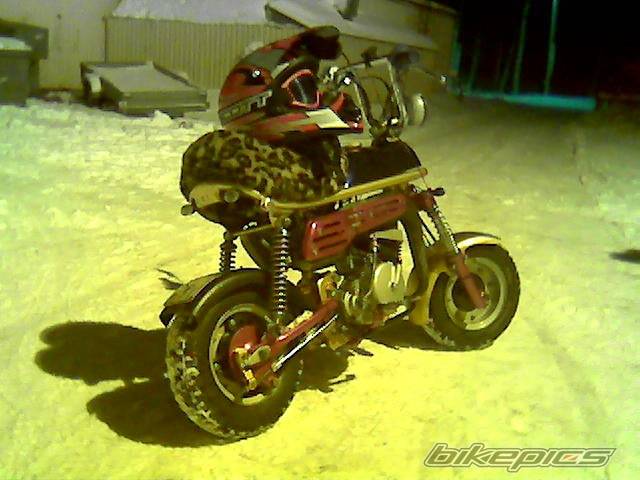 Photo 269517