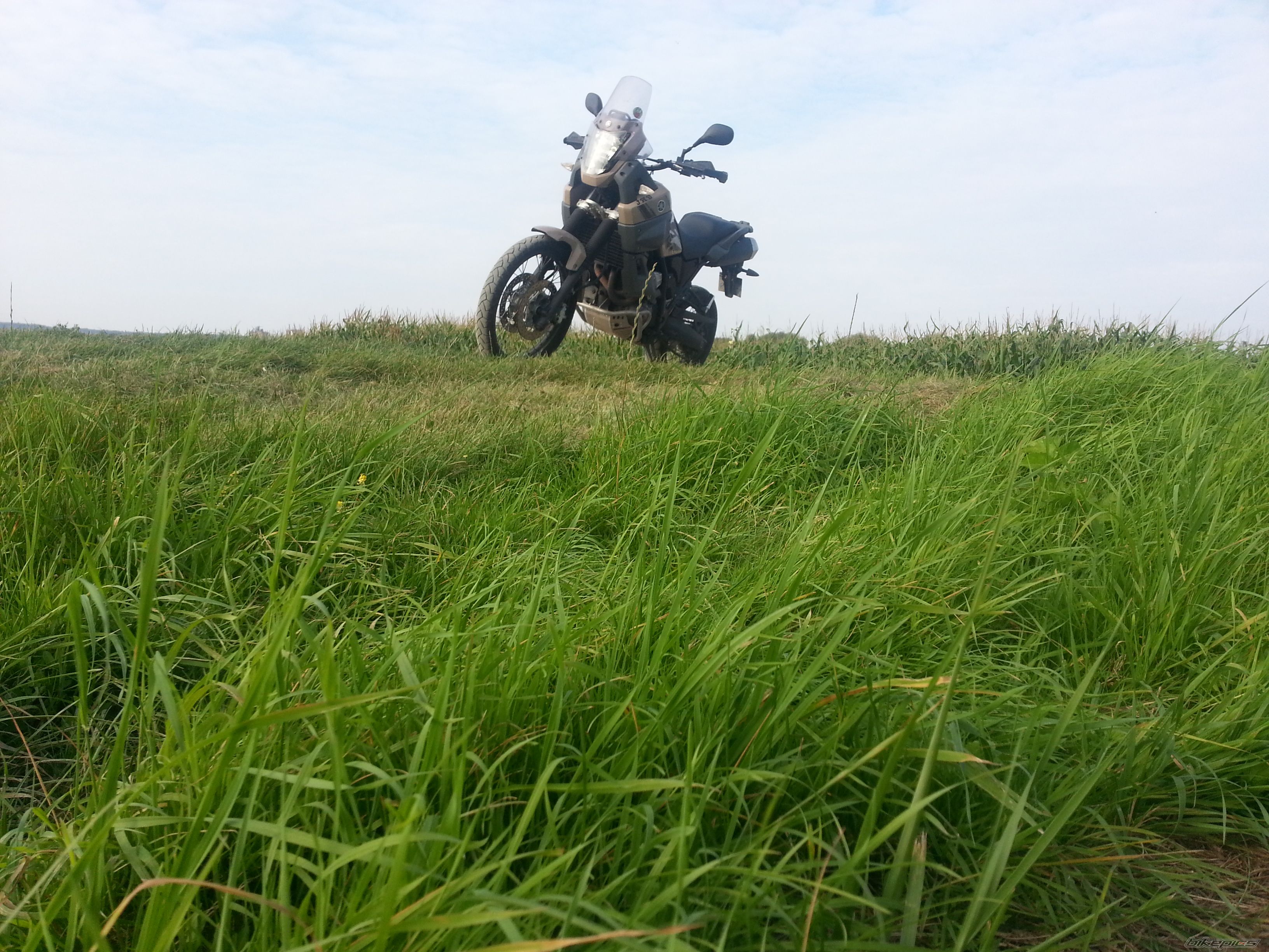 Photo 2695361
