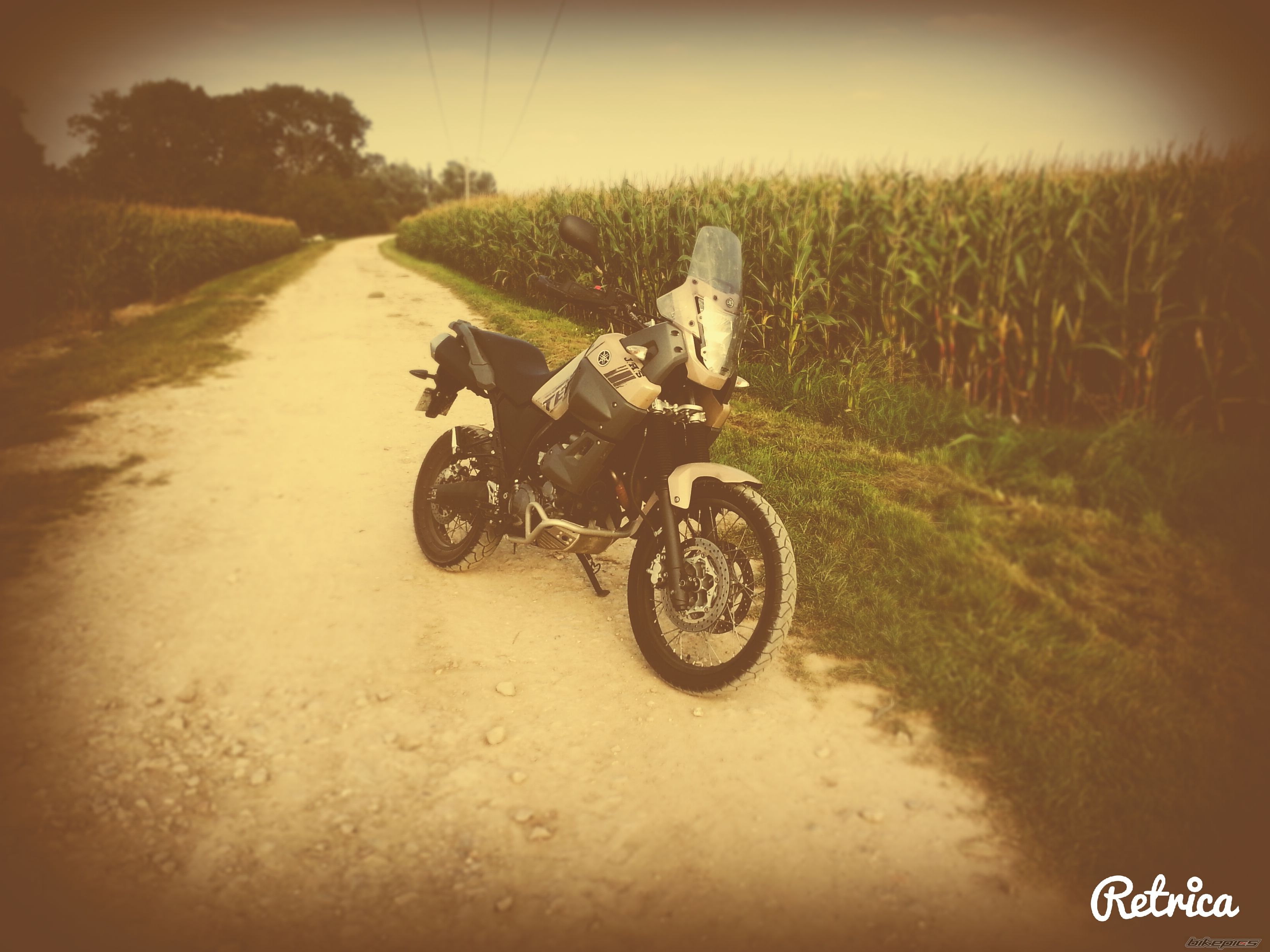 Photo 2695362