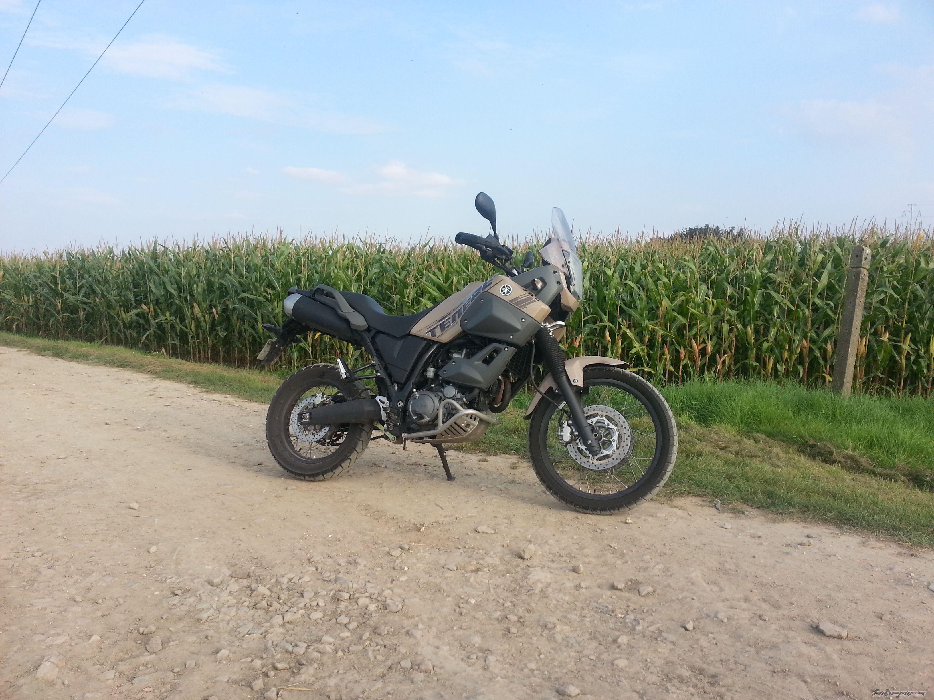 Photo 2695363