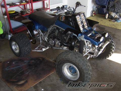 Photo 269545