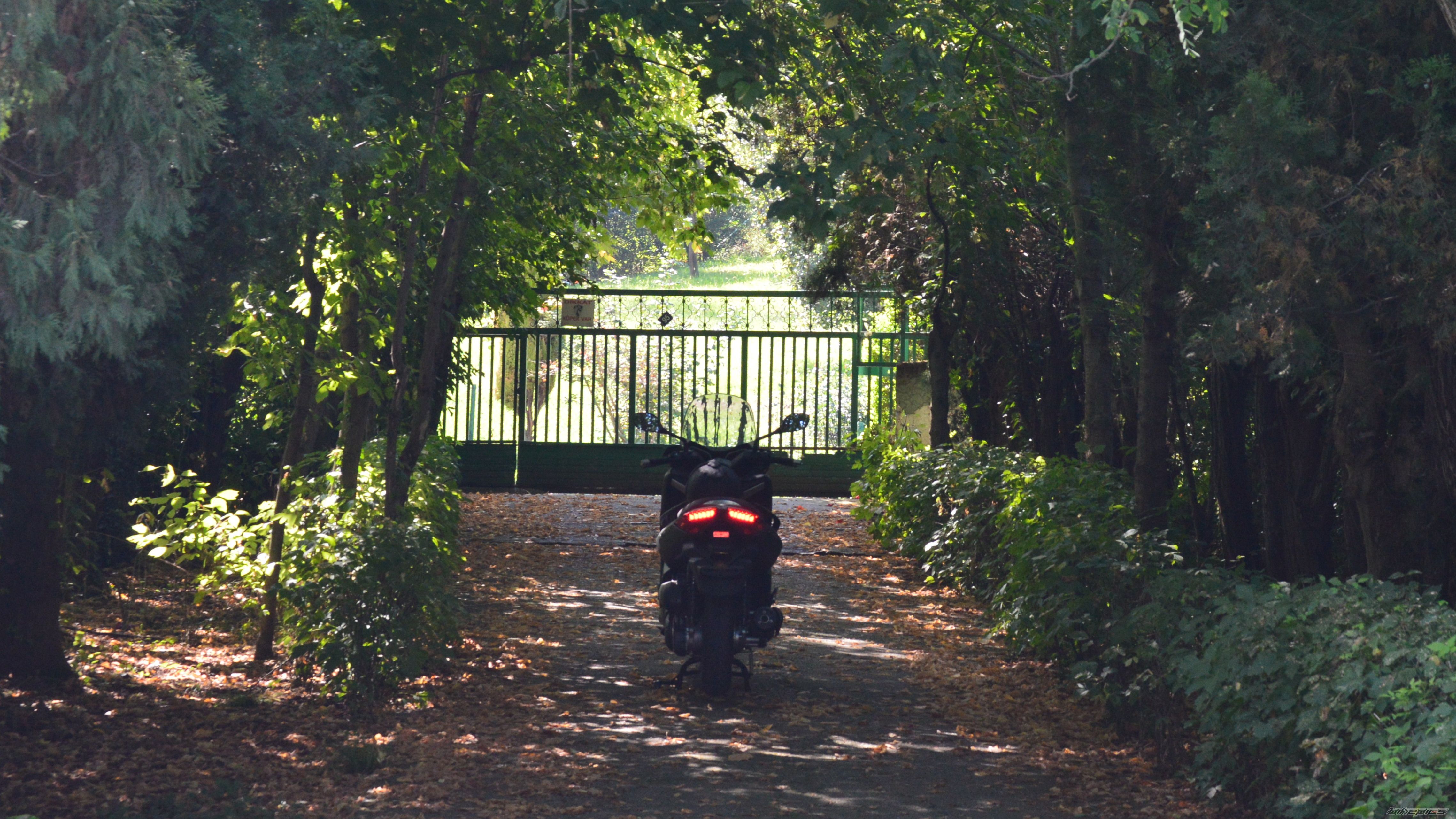 Bike Photo 2695479