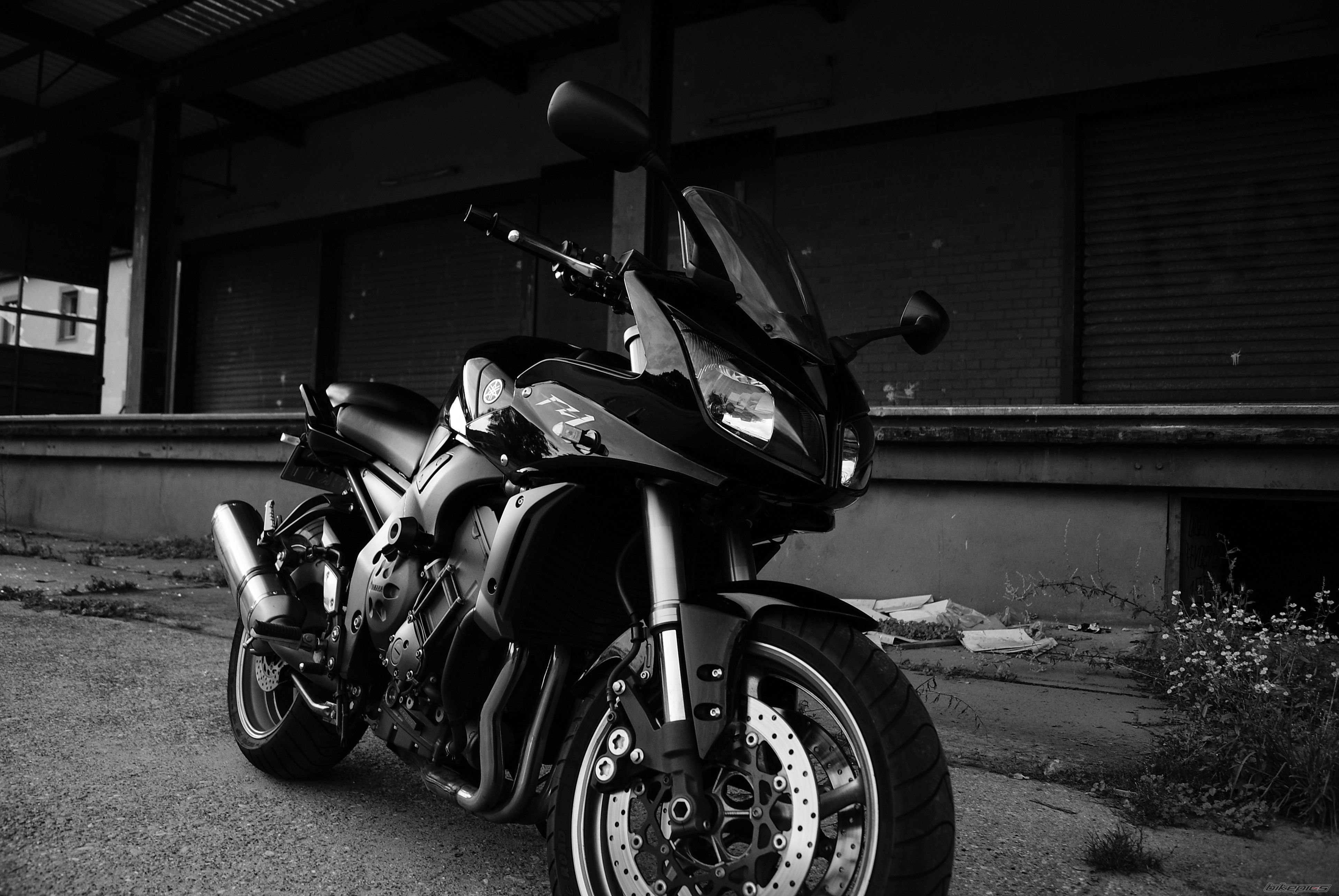 Photo 2695569
