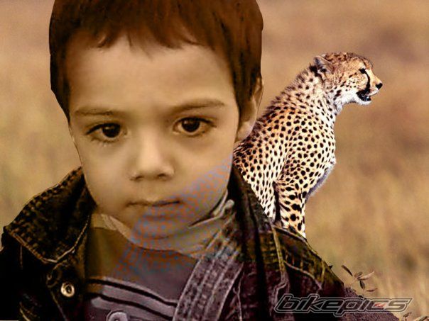 Photo 2695783