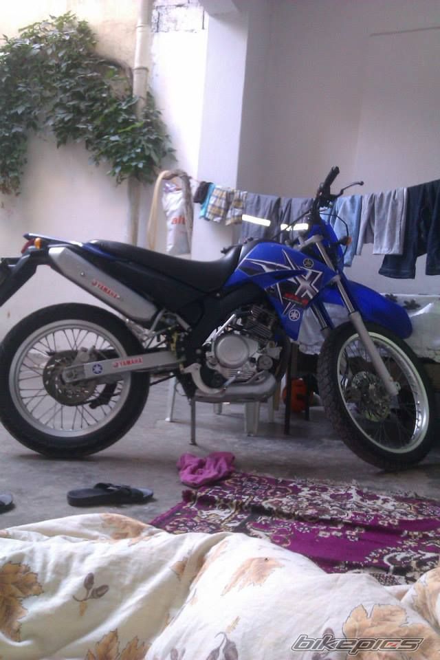 Photo 2695791