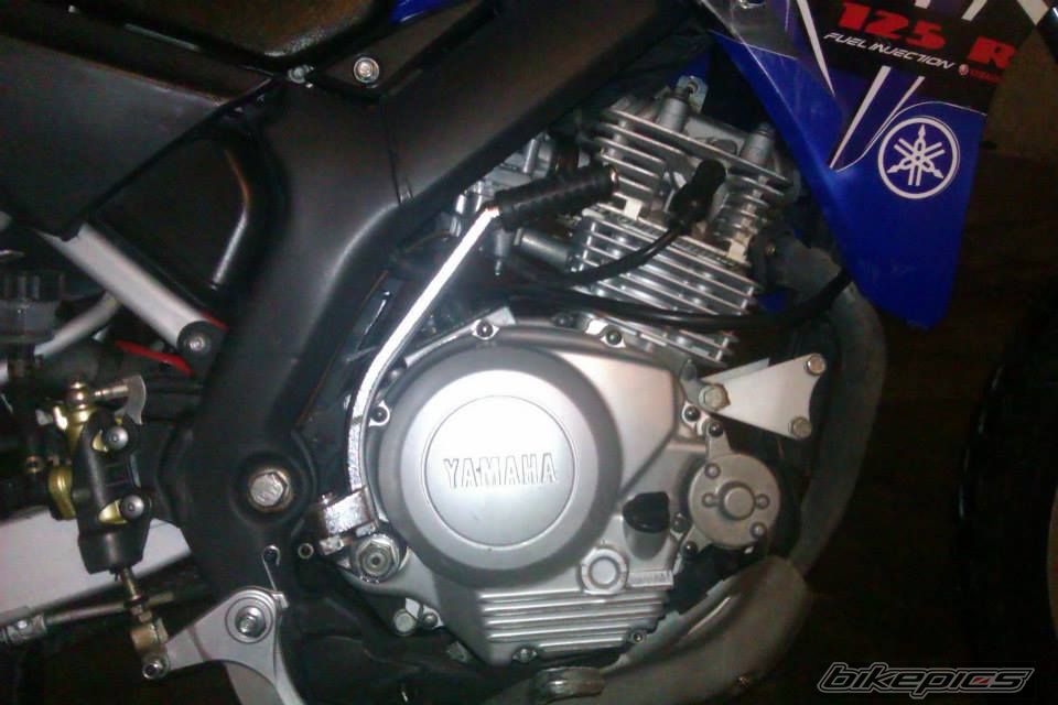 Photo 2695793