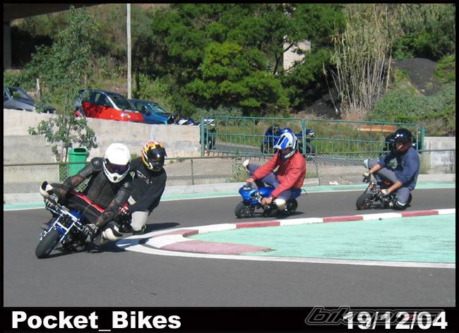 Photo 269583