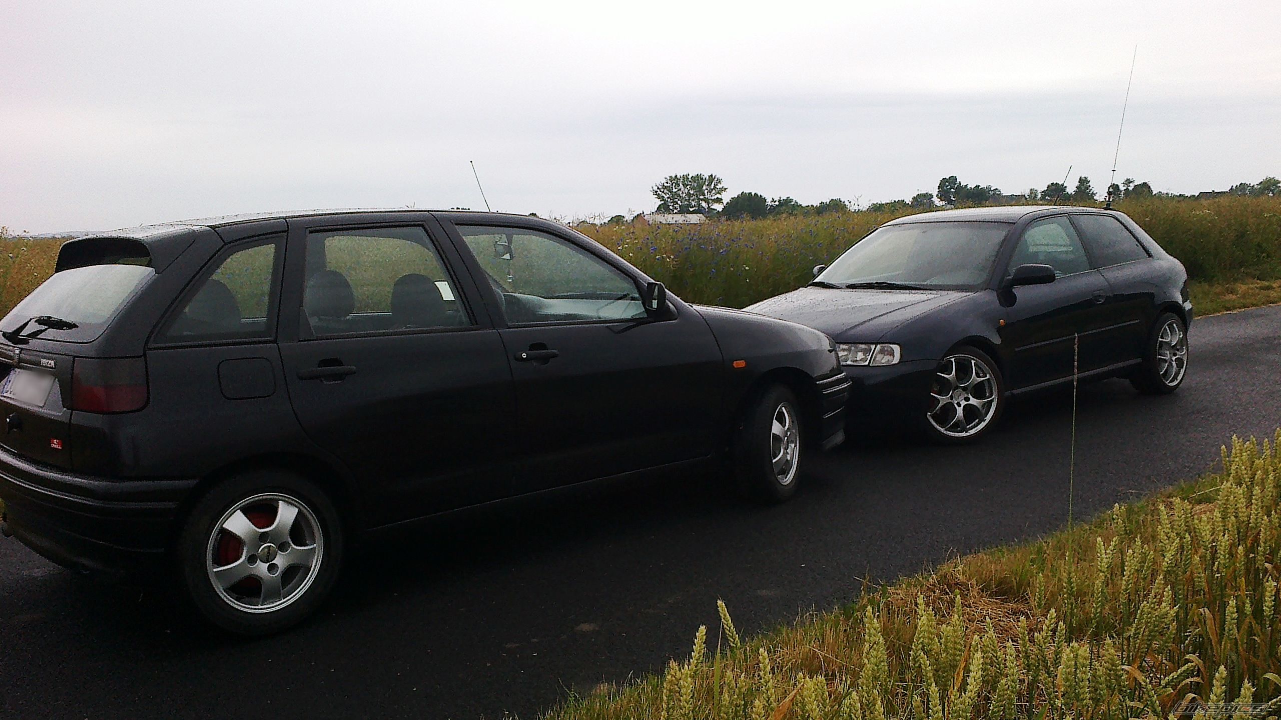Photo 2695874