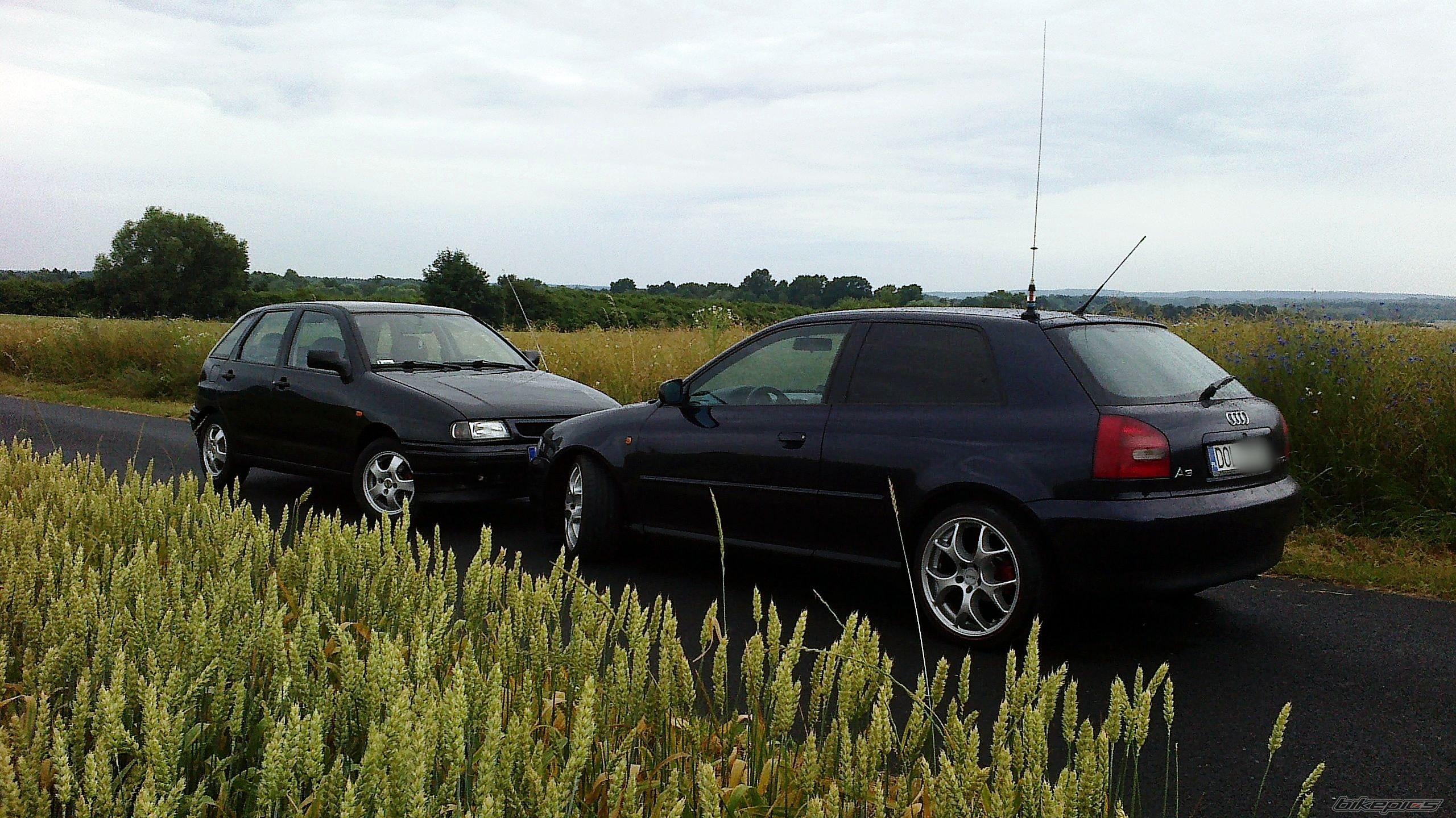 Photo 2695876