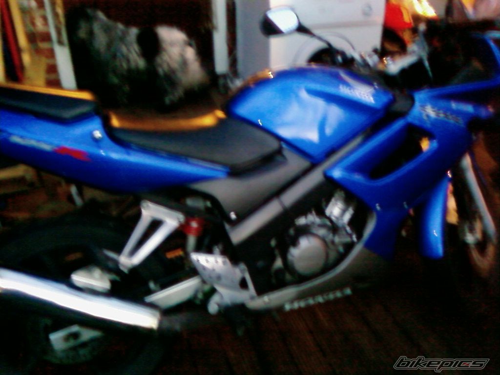 Photo 2695911
