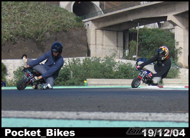 Photo 269596