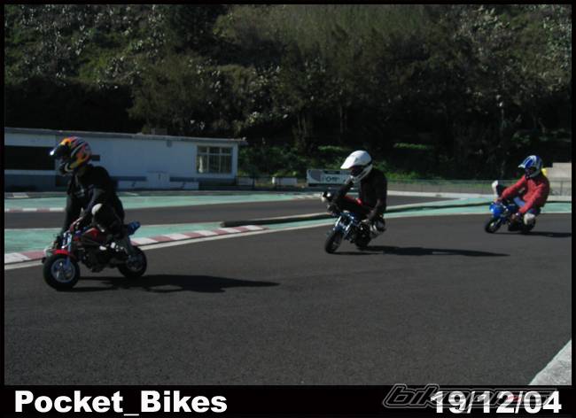 Photo 269598