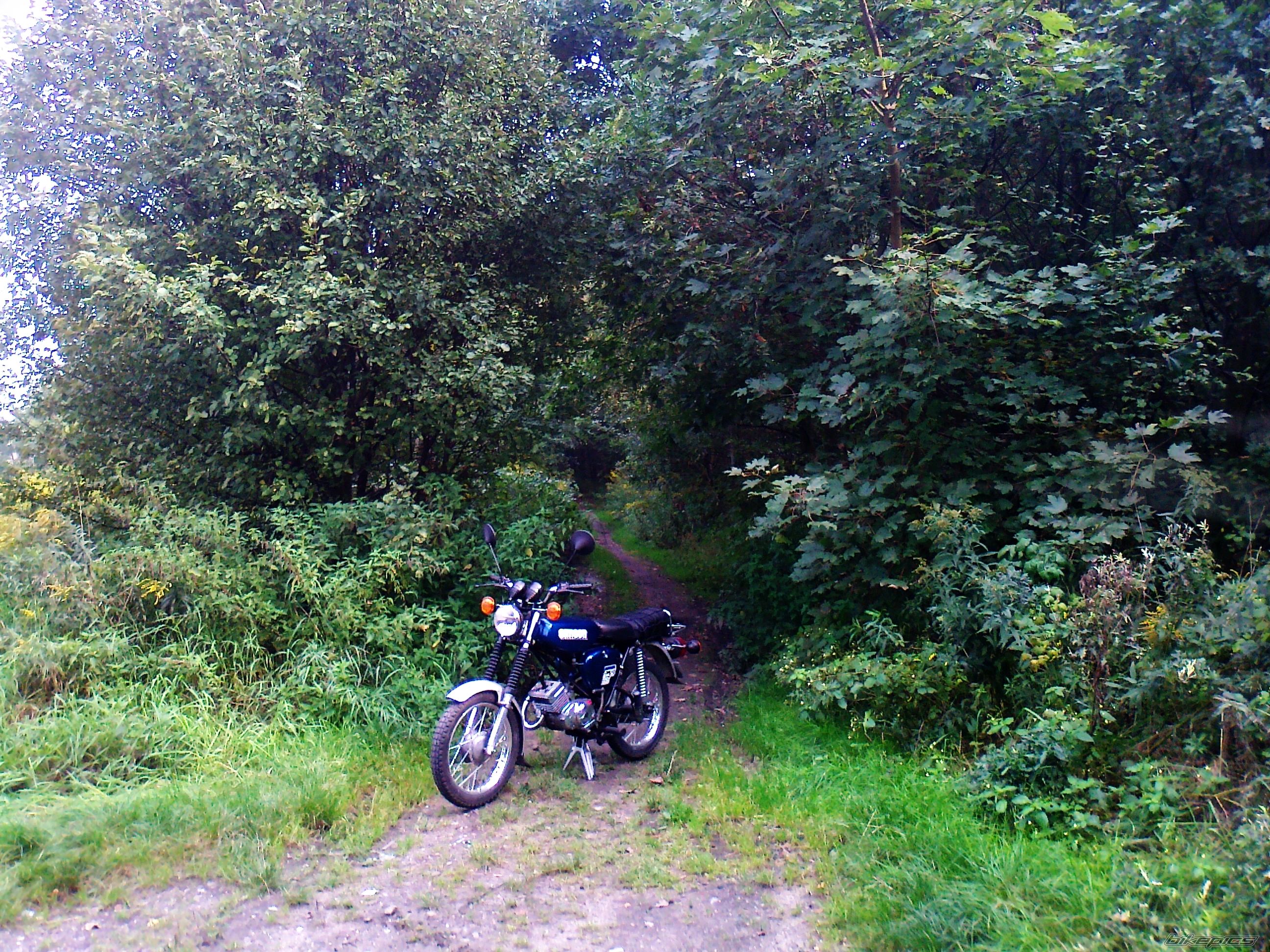 Photo 2696027