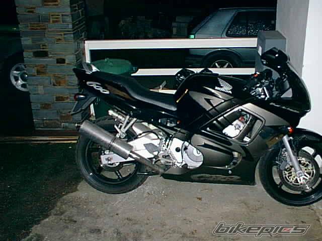 Photo 269619