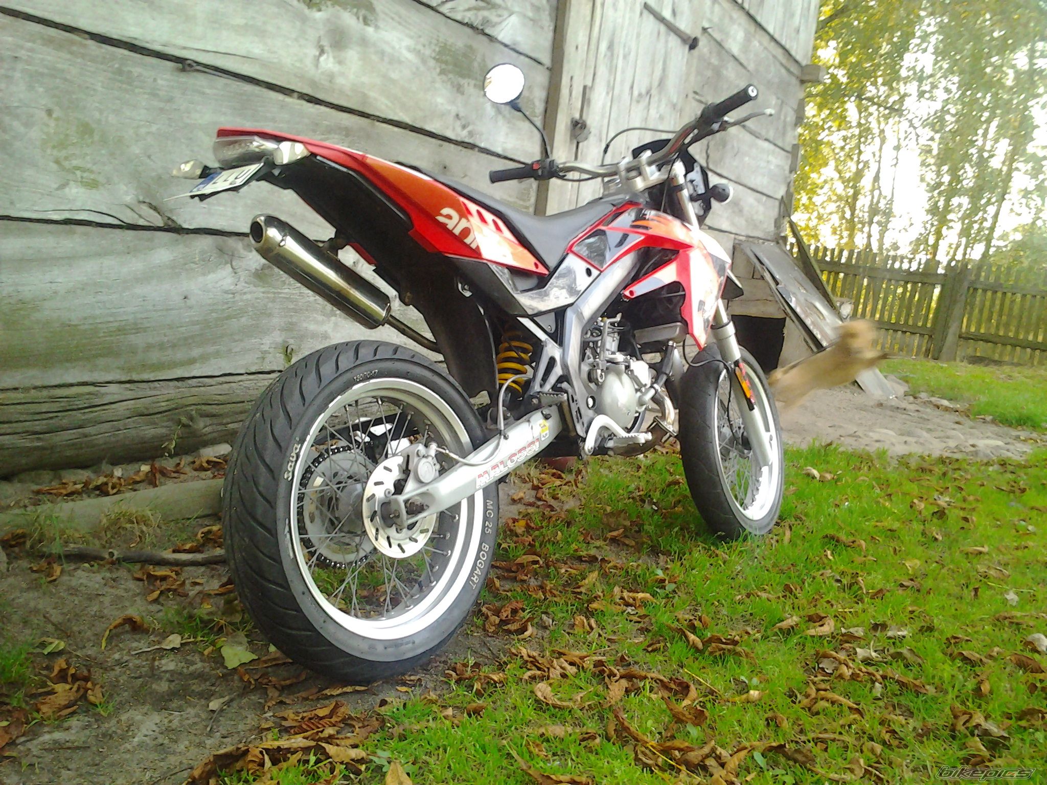 Photo 2696199