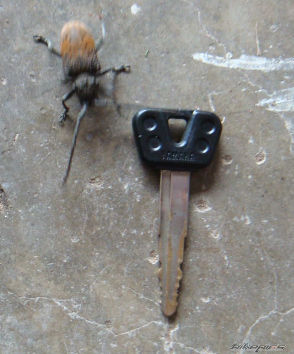 Photo 2696241