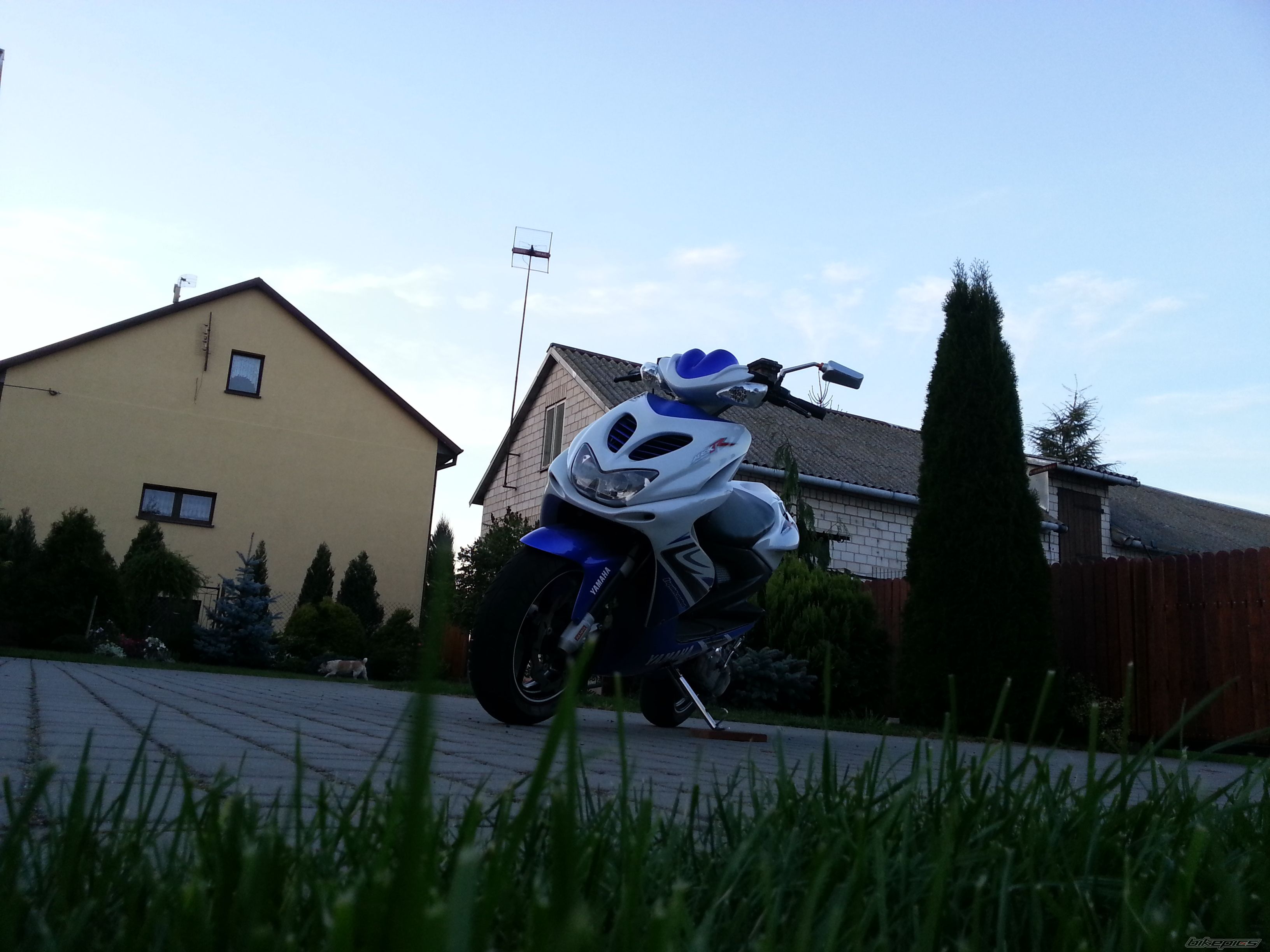 Photo 2696259