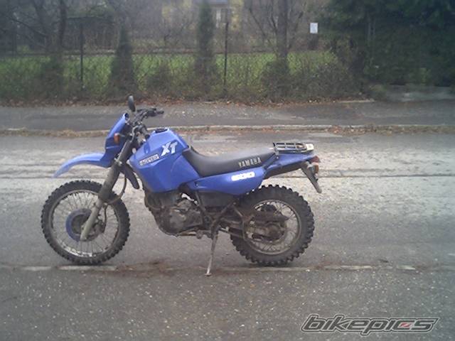 Photo 269678
