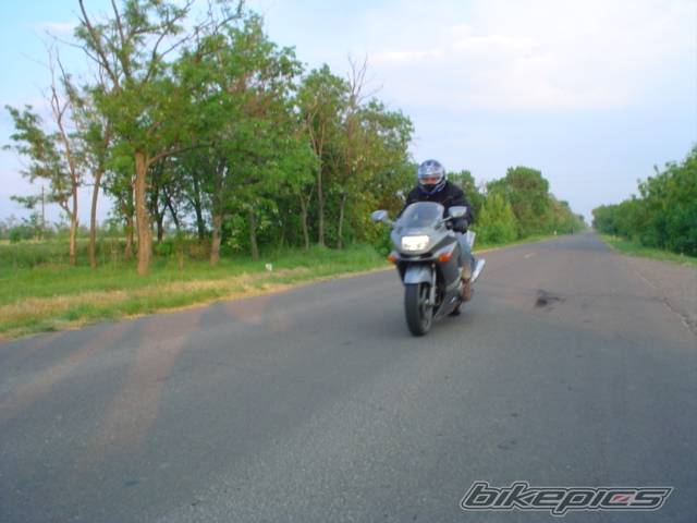 Photo 269697
