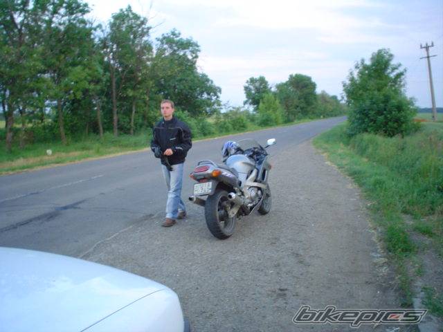Photo 269699
