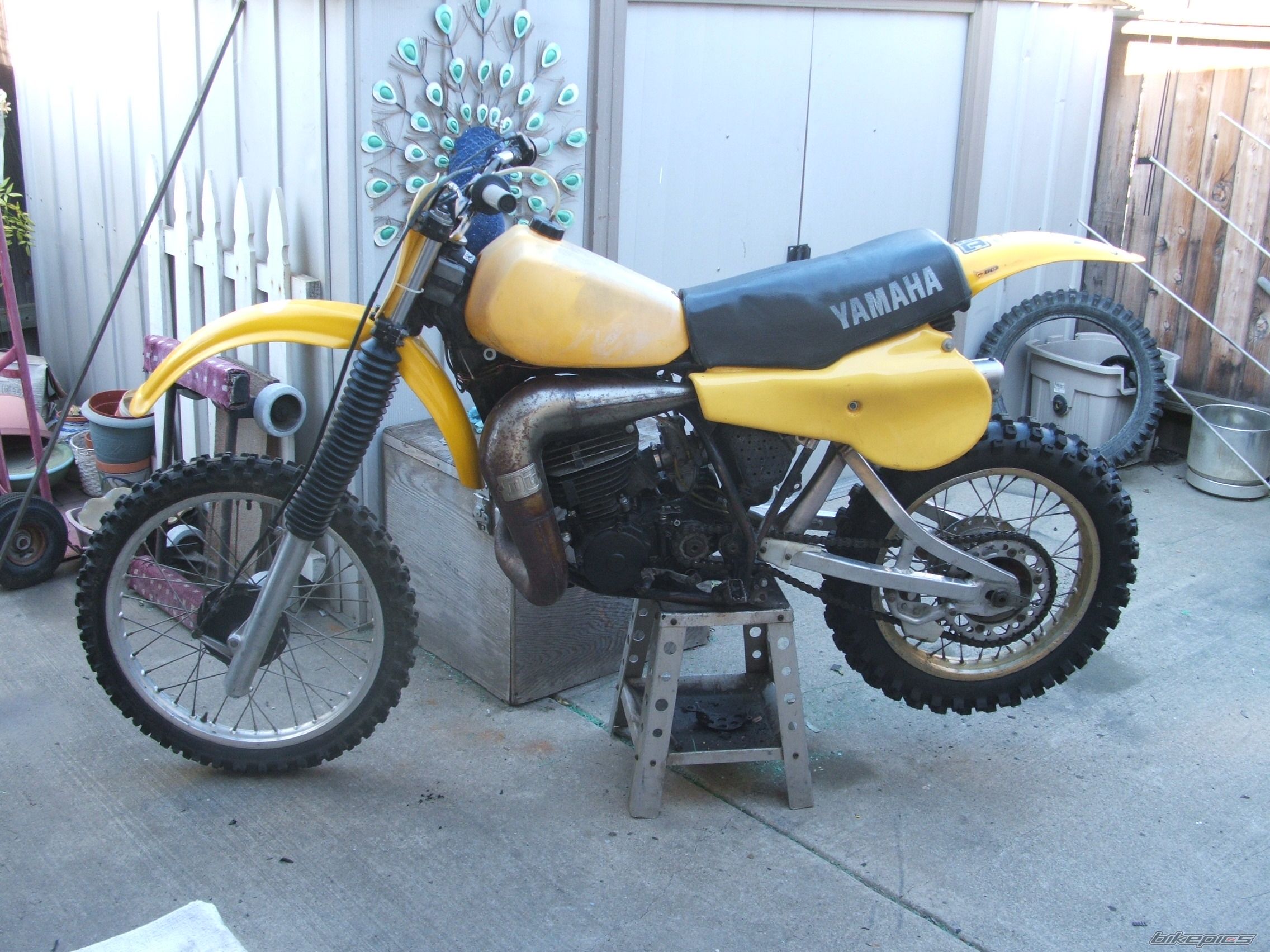 Photo 2697090