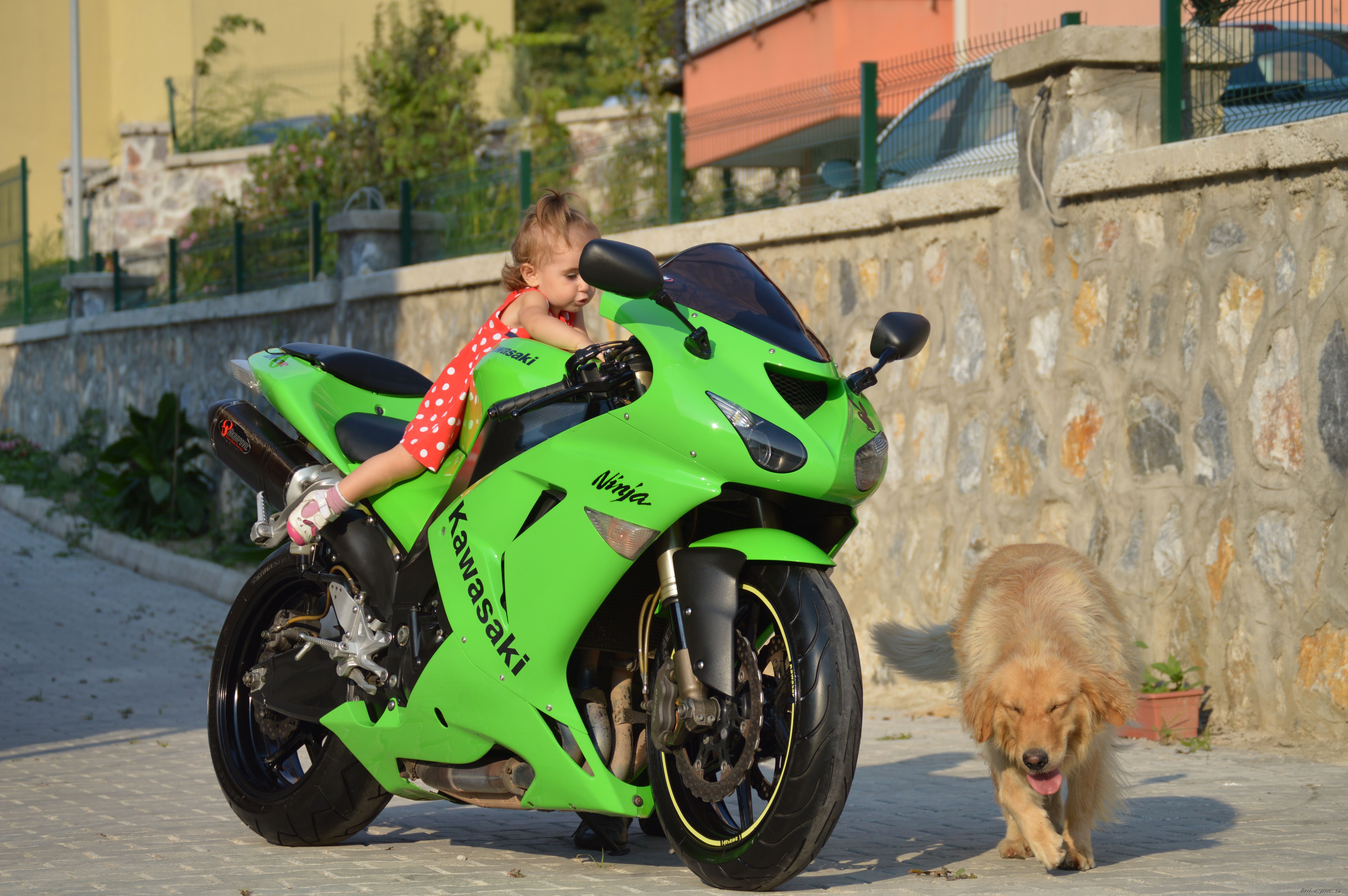 Photo 2697133
