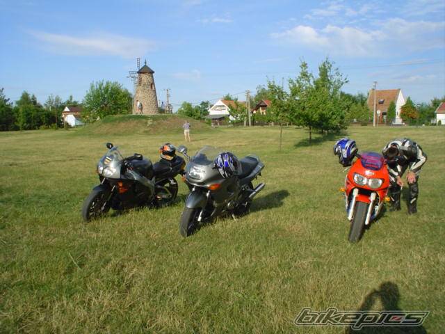 Photo 269716