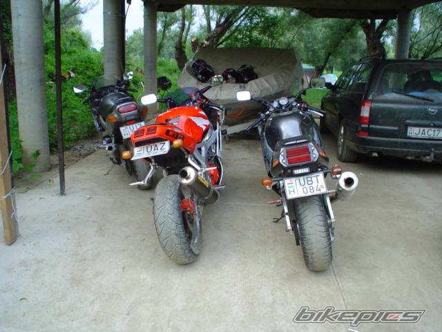 Photo 269722