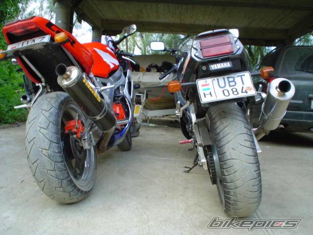 Photo 269723