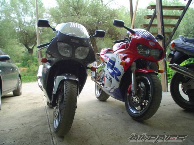 Photo 269724