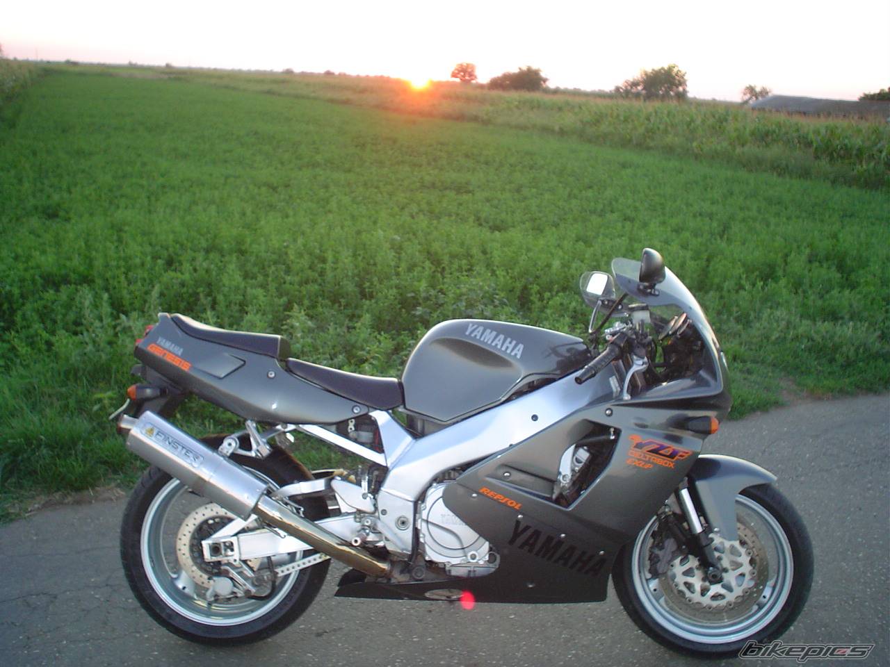Photo 269725