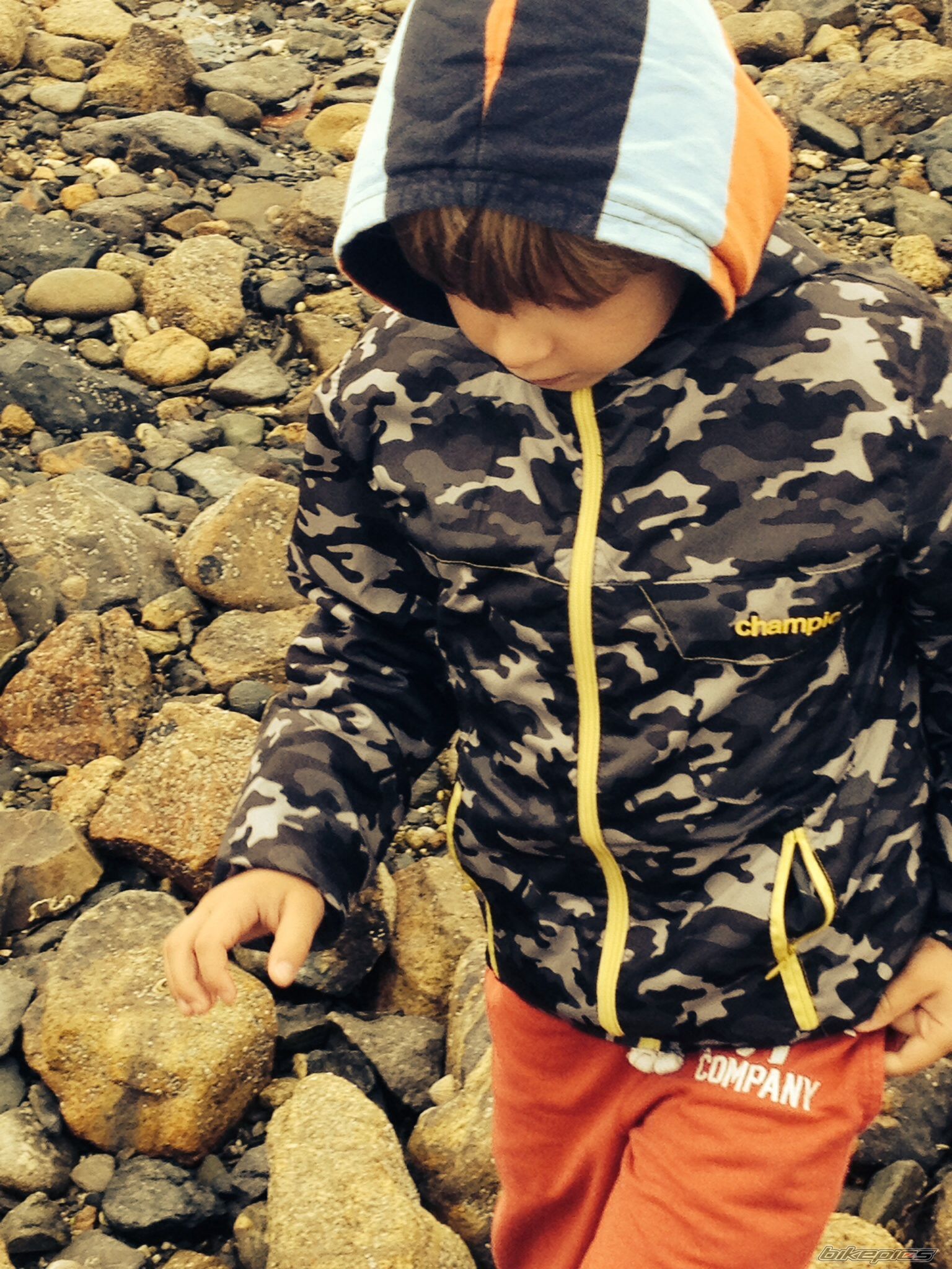 Photo 2697259