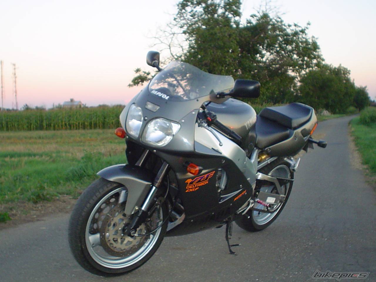 Photo 269726