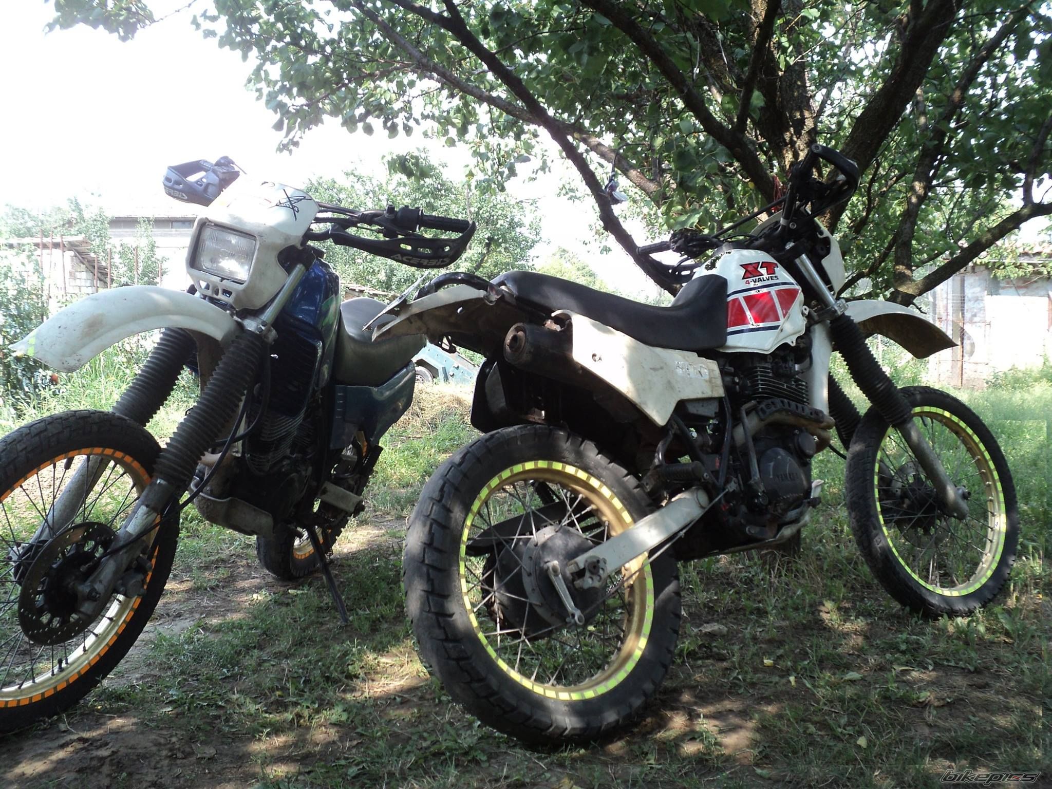 Photo 2697267