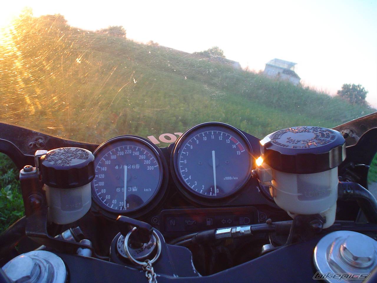 Photo 269729